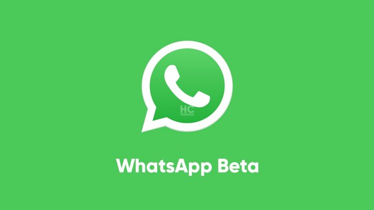 Mengenal WhatsApp Beta: Menjelajahi Fitur Terbaru dengan Antusiasme